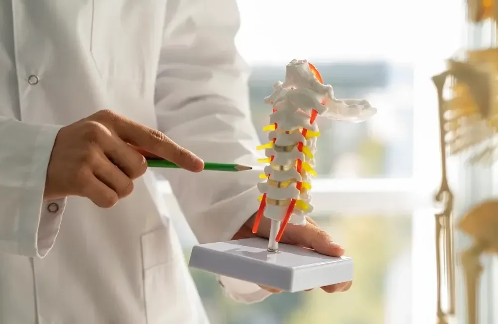 SEO for Chiropractors in UAE