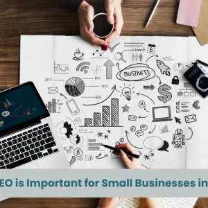 Why SEO is Important for Small Businesses in UAE